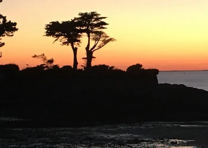 Cavalibre D'hotes Mesquer