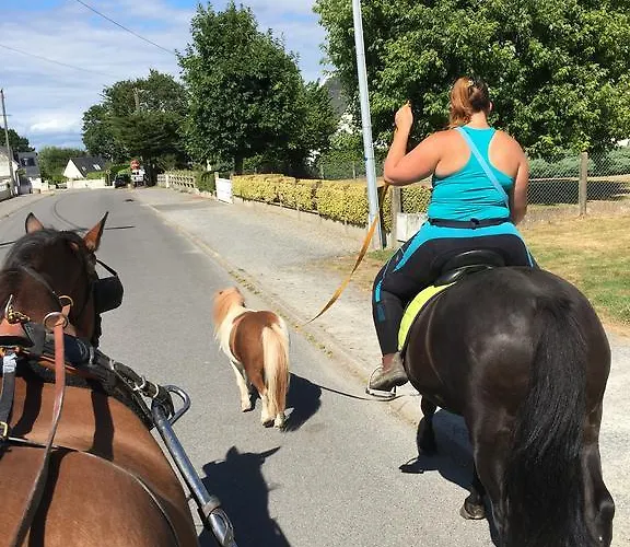 Frühstückspension Cavalibre D'hotes
