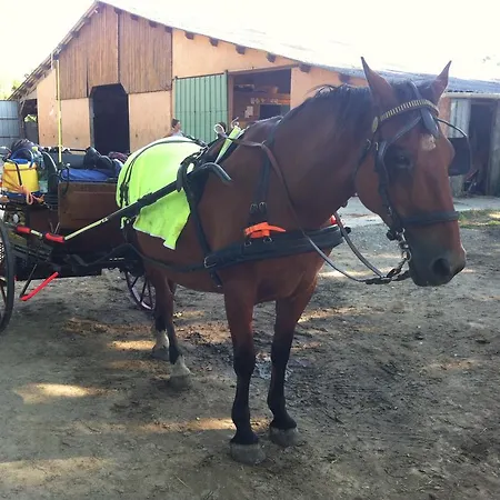 Cavalibre D'hotes