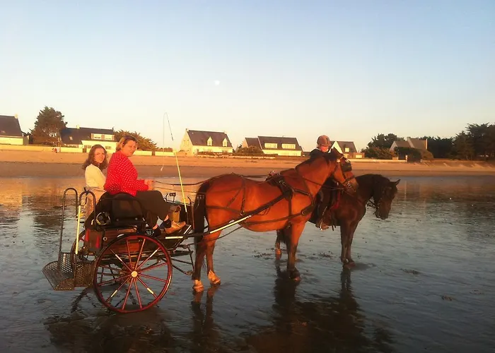 Cavalibre D'hotes B&B *