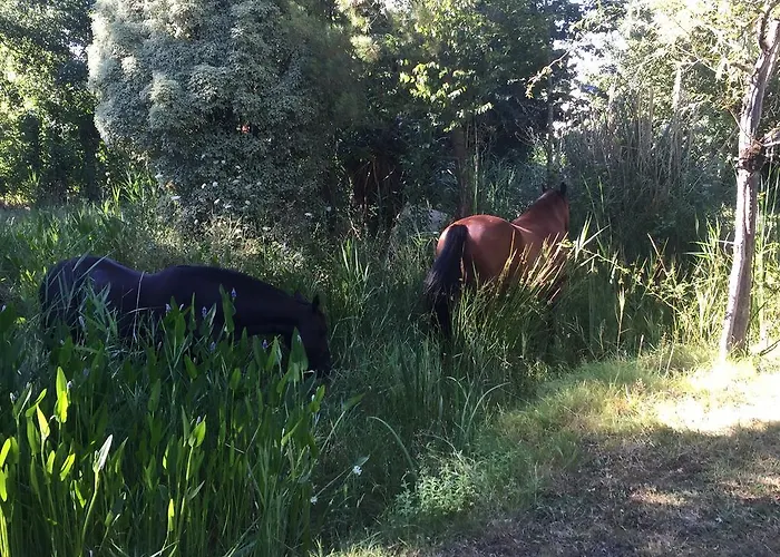 B&B Cavalibre D'hotes