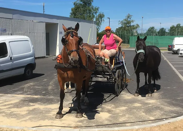 B&B Cavalibre D'hotes