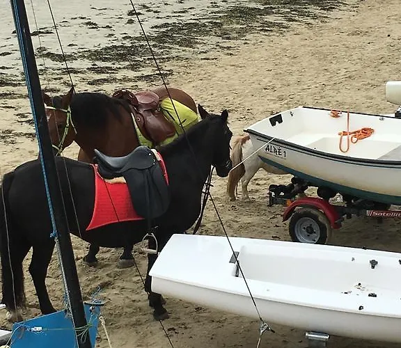 Cavalibre D'hotes B&B *